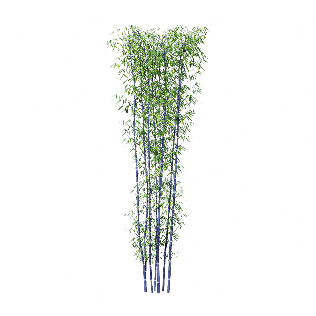 Other Botanicals 3D Models