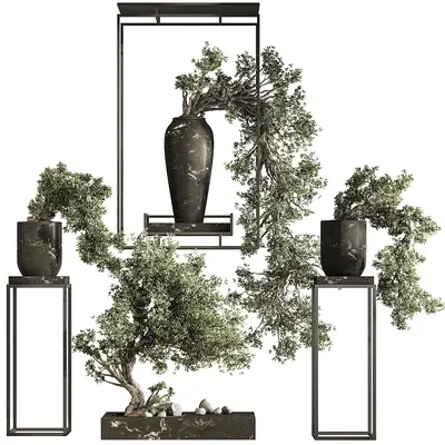 Modern Bonsai