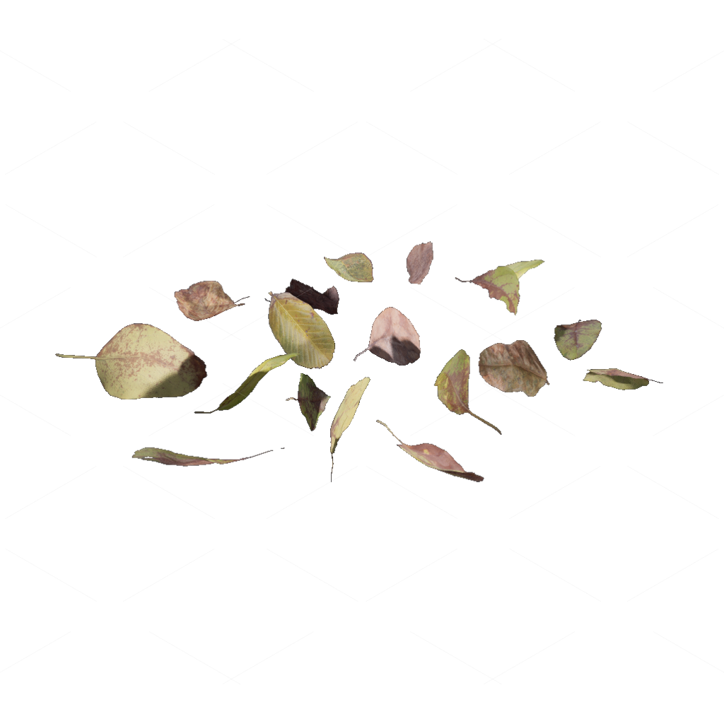Other Botanicals 3D Models