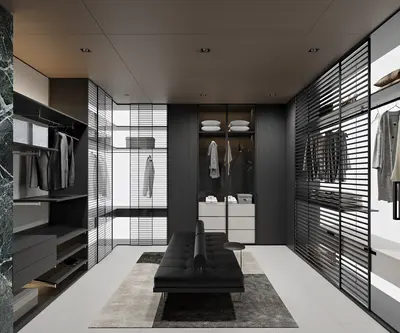 Modern Walk-in Closet