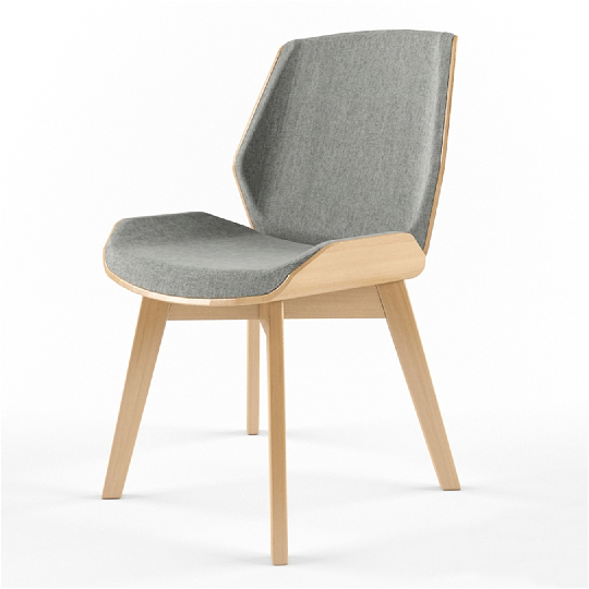 Modern Dining Chair