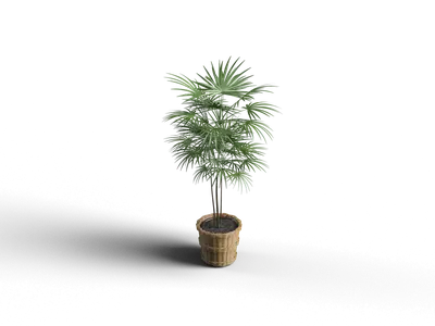 Potted Plant 3d model