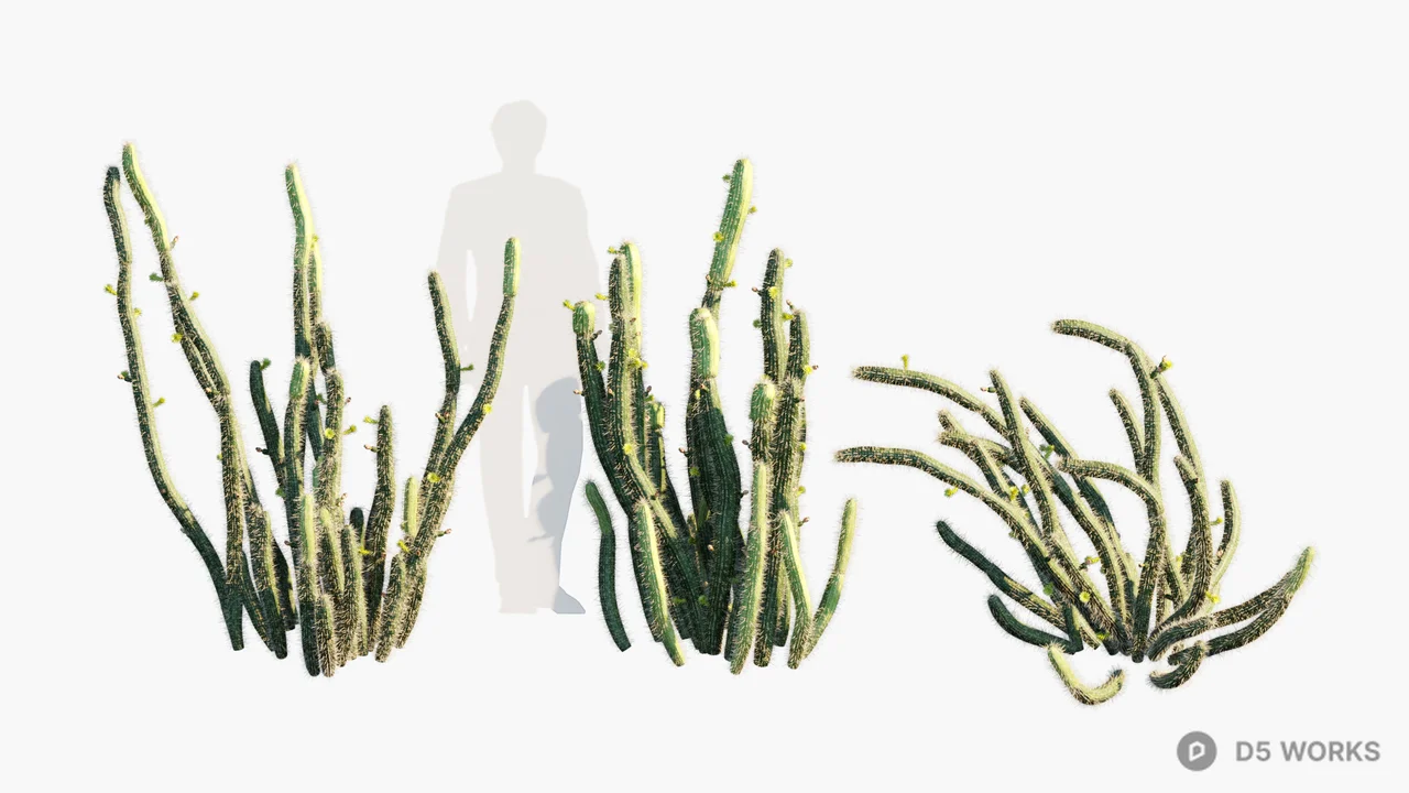 Succulent Cactus Cluster 3d model - Image 1