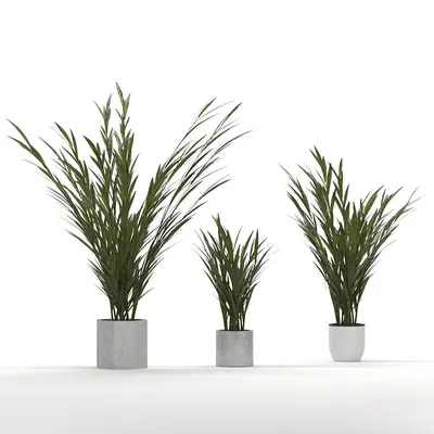 Modern Indoor Aerial View