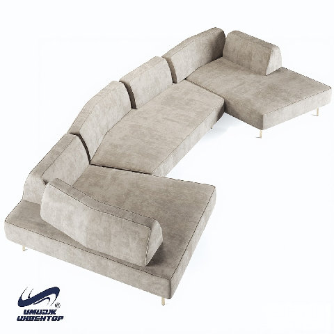Modern Irregular-shaped Sofa