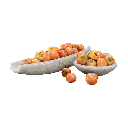 Food and Drink fruit persimmon combination