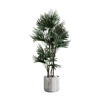 Modern frosted white plant 3d model