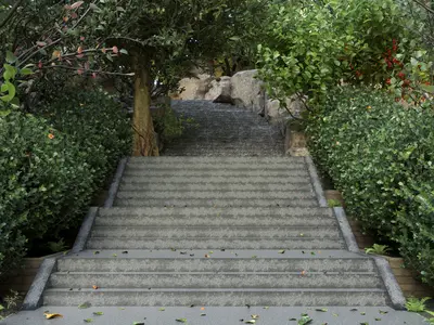 Landscape Steps