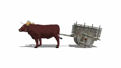 Modern Non-Motorized Vehicles