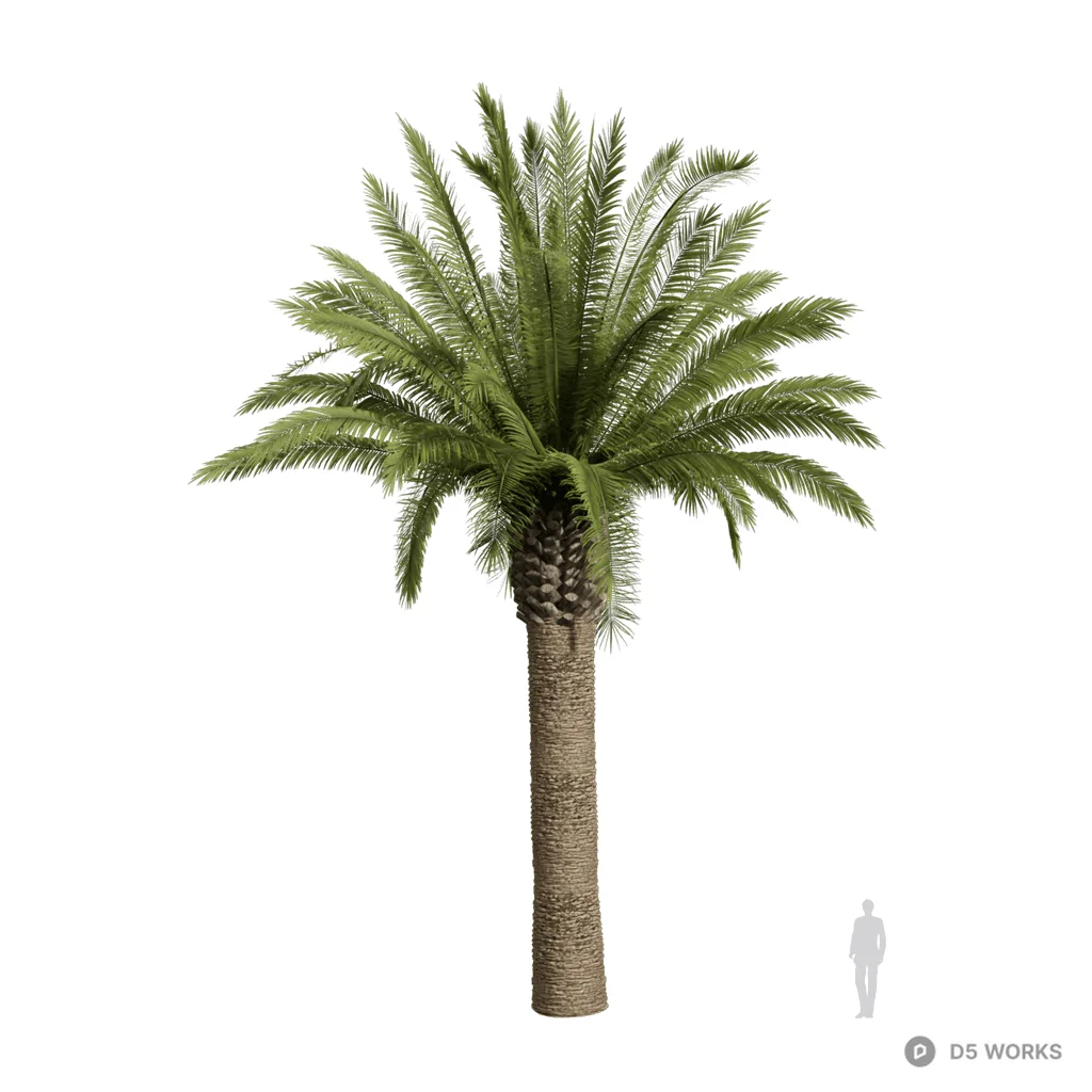 Phoenix canariensis 06 3d model - Image 1