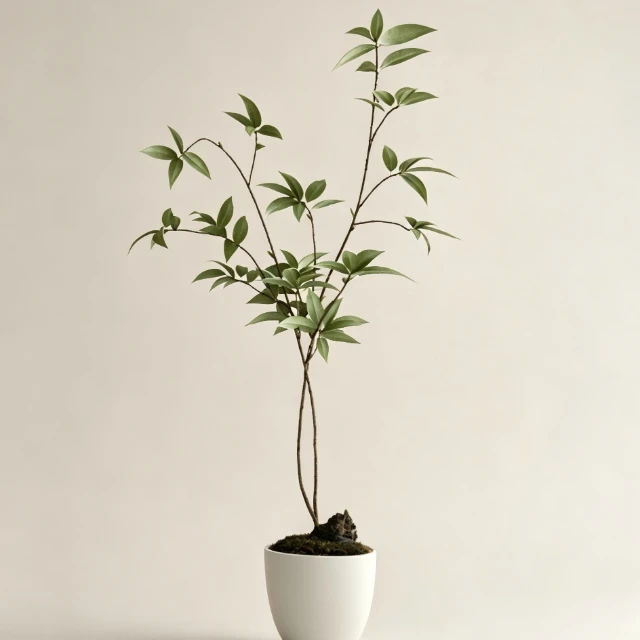 Minimalist Potted Nandina Plant in White Ceramic Bowl 3d model