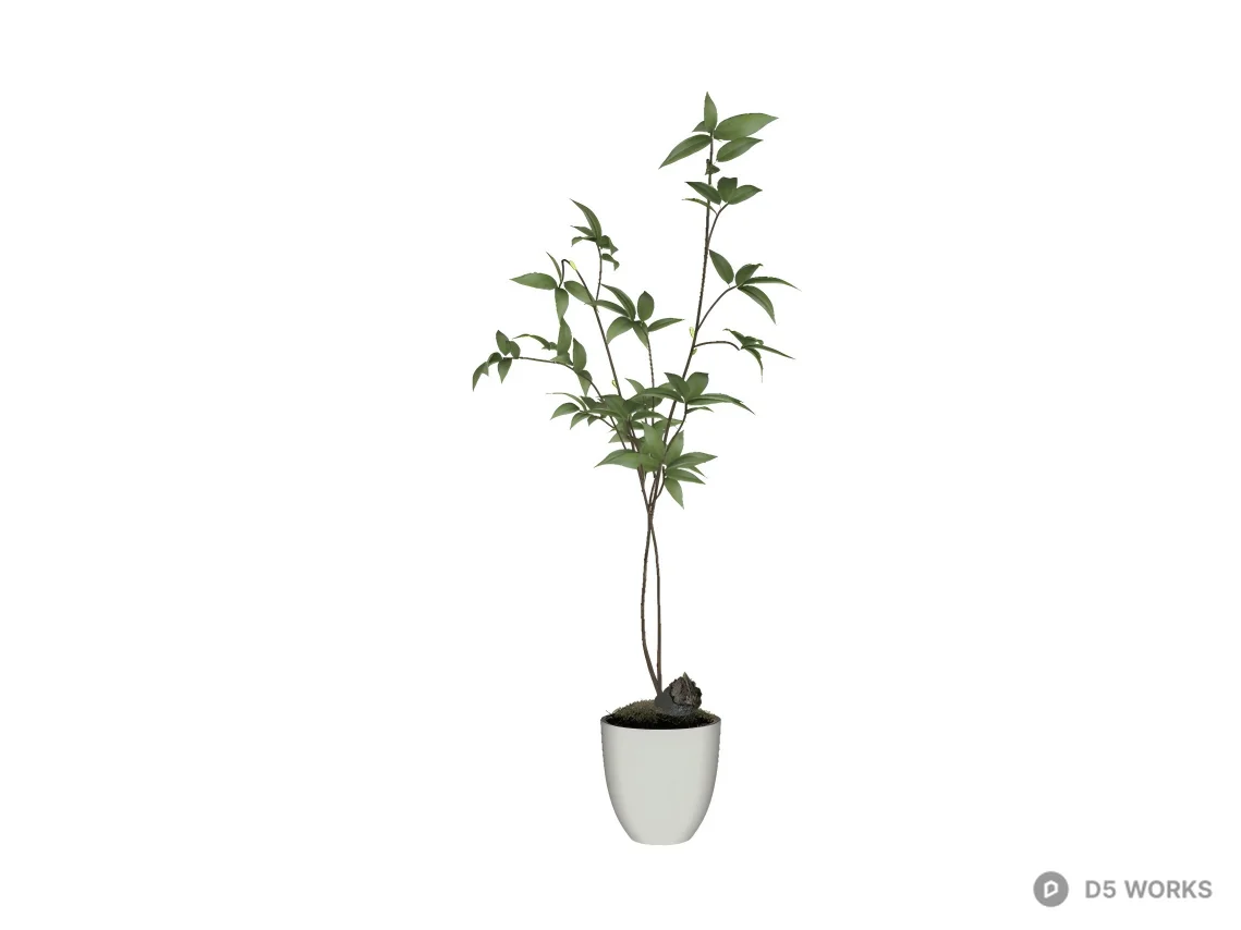 Minimalist Potted Nandina Plant in White Ceramic Bowl 3d model thumbnail 2