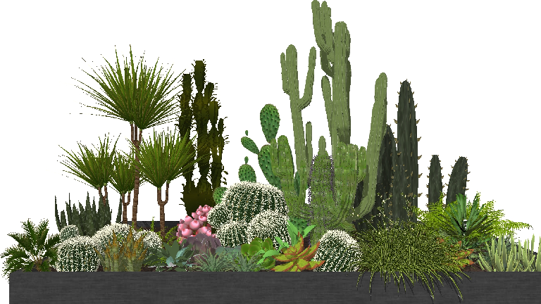 Modern Potted Plant