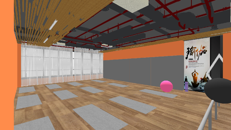 Modern Yoga Room
