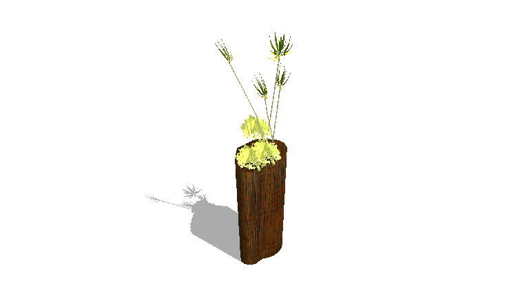 Modern Potted Plant