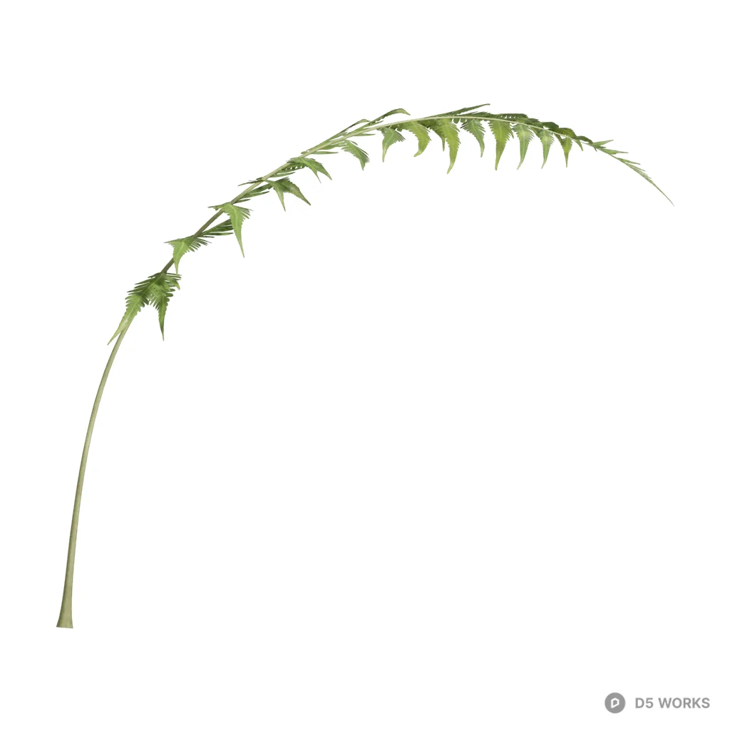 Woodwardia japonica 01 3d model - Image 1