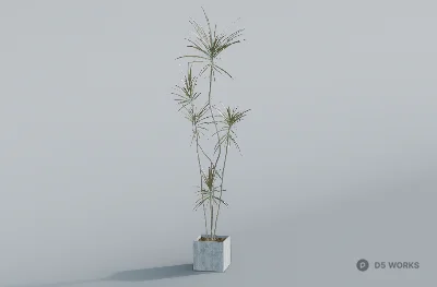 Minimalist Potted Plant 3d model - Image 1