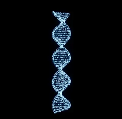Double Helix Structure