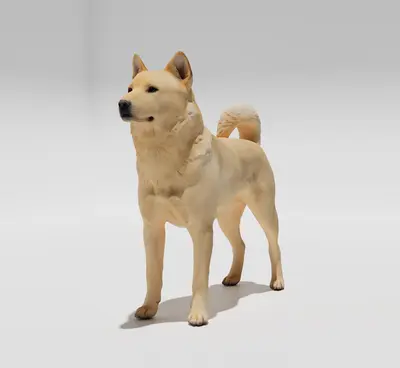 Dog 3d model