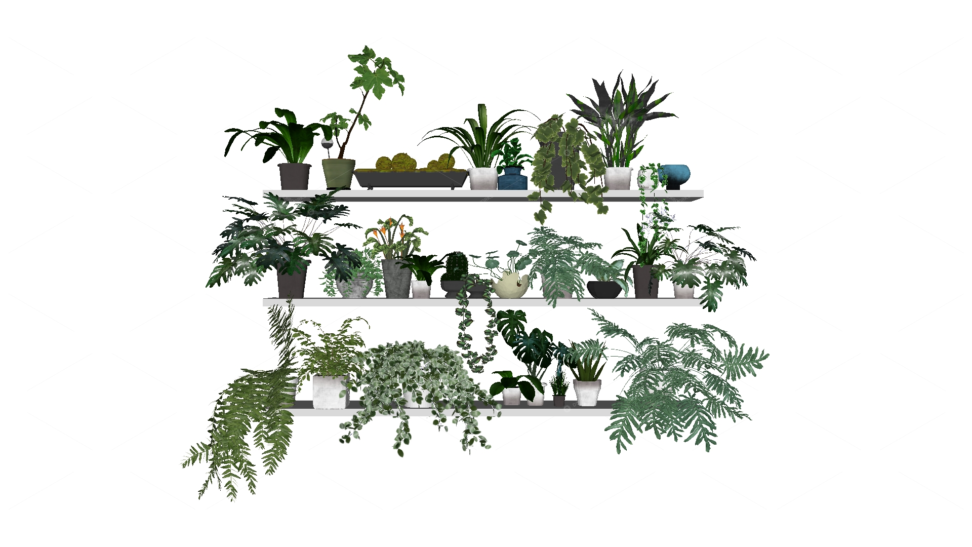 Greenery 3D Models