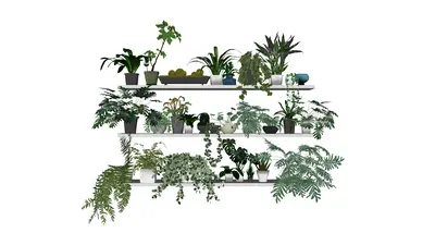 Minimalist Shelf With Potted Plants 3d model