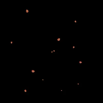 Petals 3d model