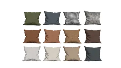 Modern Cushion