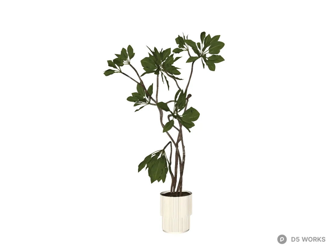 Potted Pachira Aquatica Money Tree in Fluted Ceramic Planter 3d model thumbnail 2