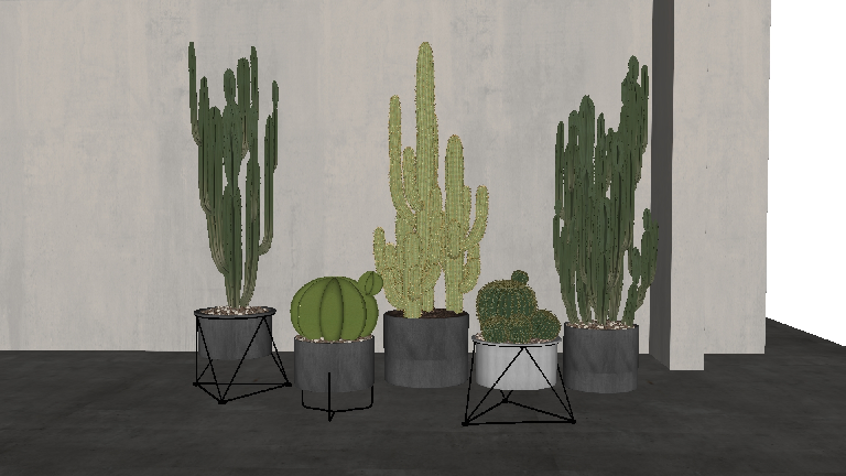 Modern Potted Plant