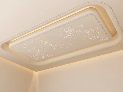 Modern Ceiling