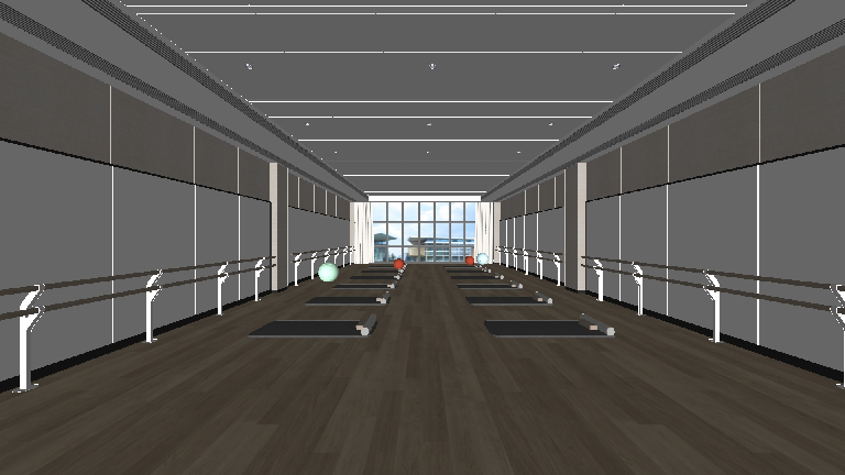Modern Yoga Room