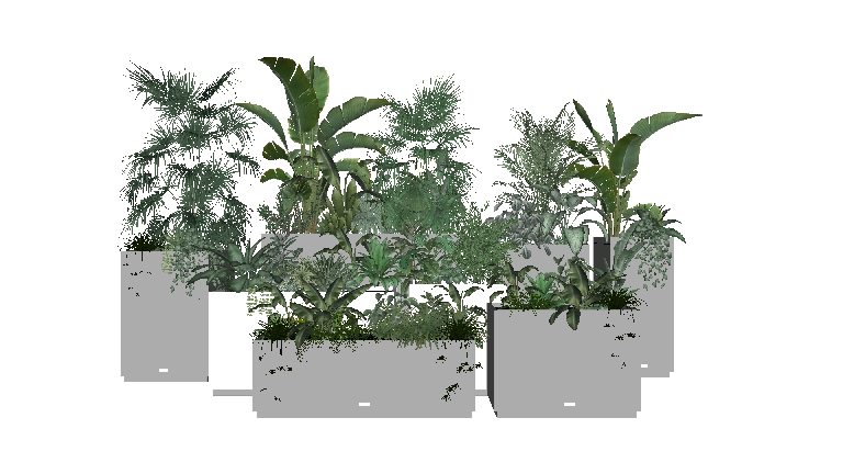 Modern Potted Plant