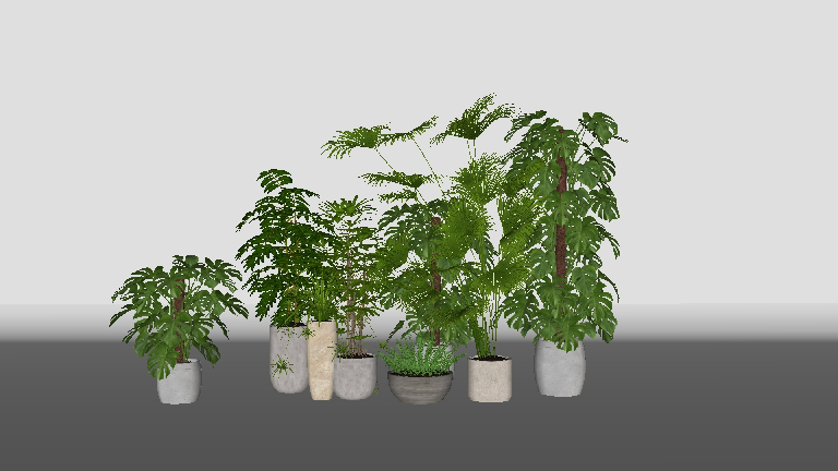Modern Potted Plant