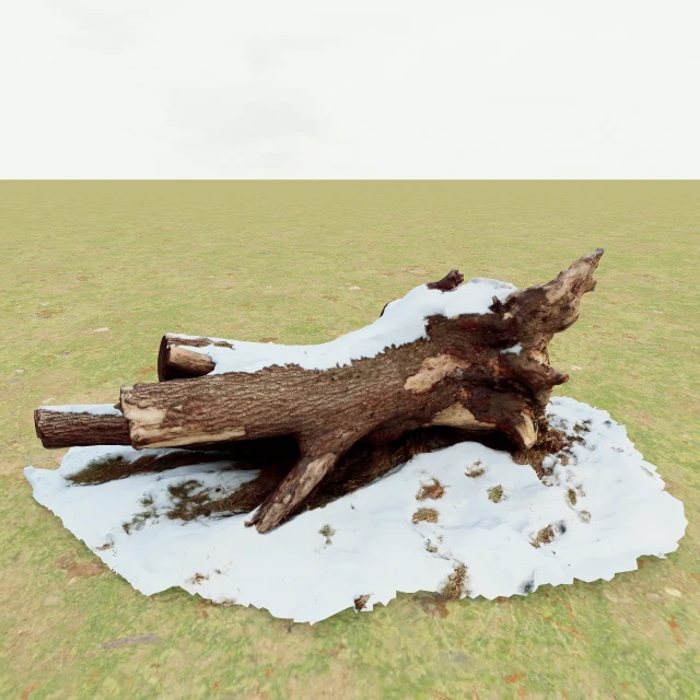 Photorealistic Fallen Tree Log with Snow Cover 3d model