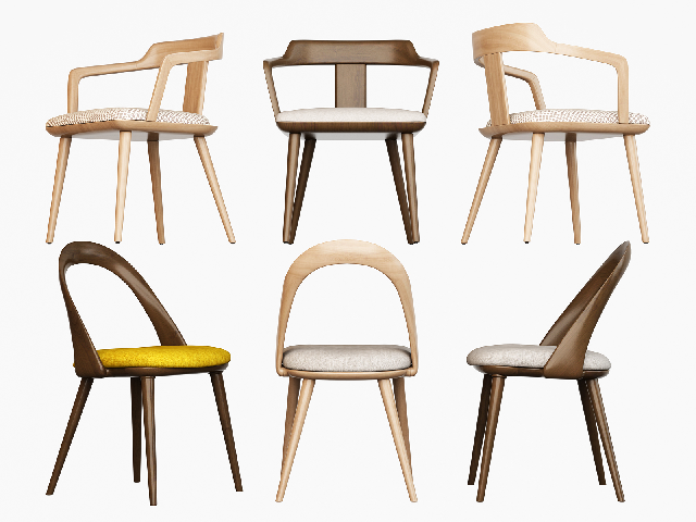 Modern Dining Chair