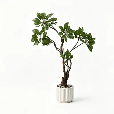 Potted Plant 3d model