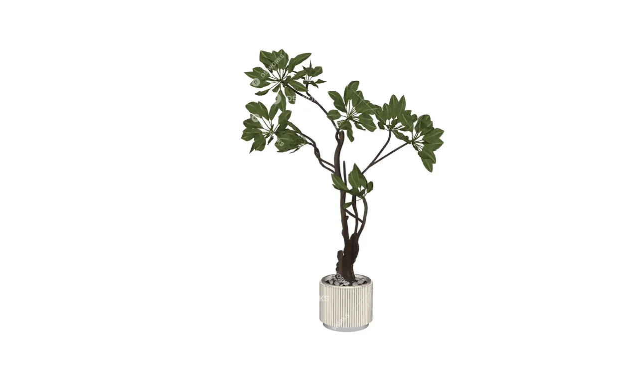 Potted Plant 3d model thumbnail 2