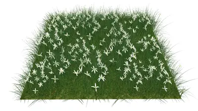 Flower & Grass Combination