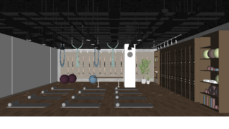 Modern Yoga Room