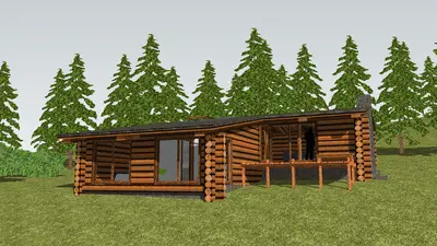 Modern Log Cabin