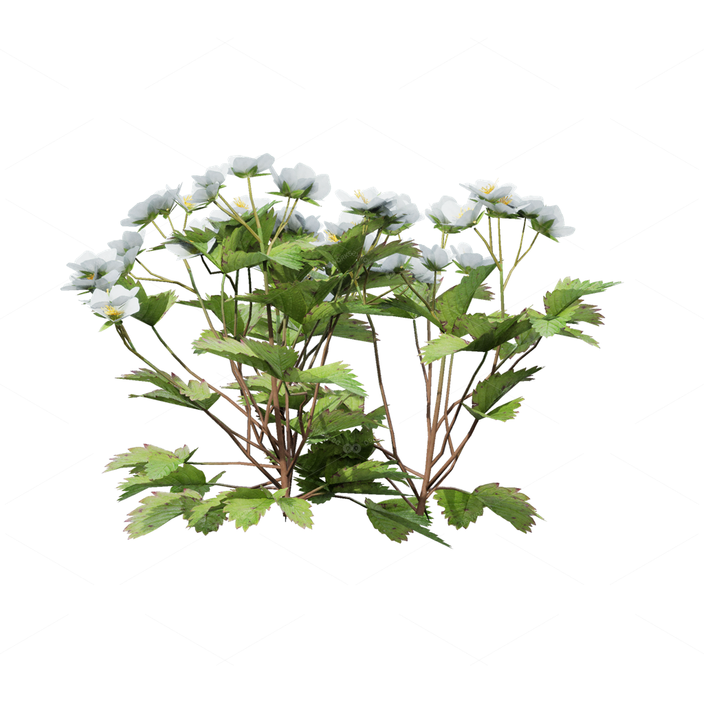 Crops 3D Models