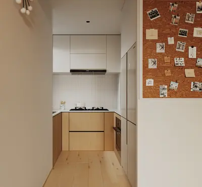 Modern Closed Kitchen