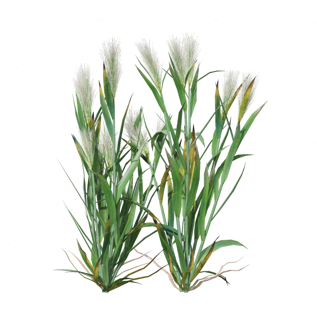 Crops 3D Models