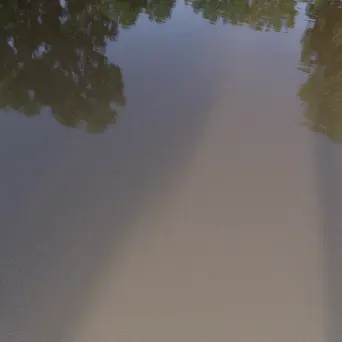 Yellow pool water ripple 01