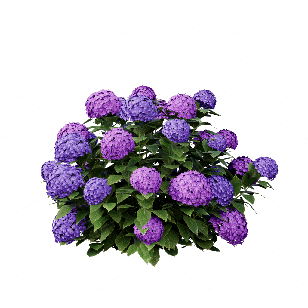 Shrubs 3D Models