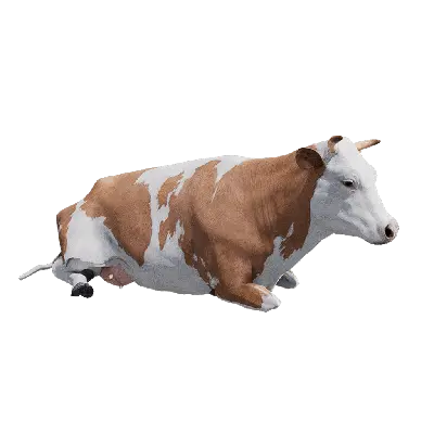 Cow 01 idle