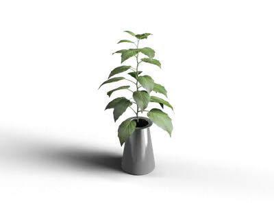 Minimalist Potted Green Plant 3d model