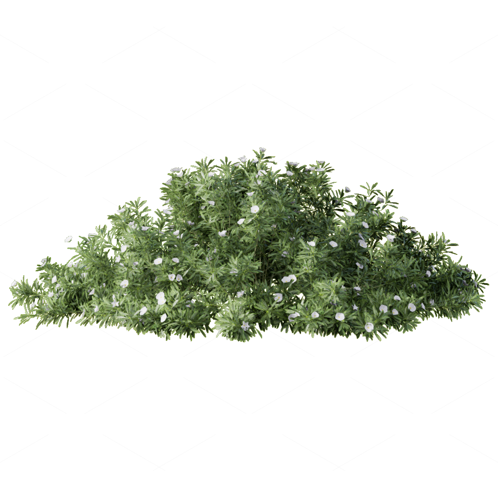 Flowers 3D Models