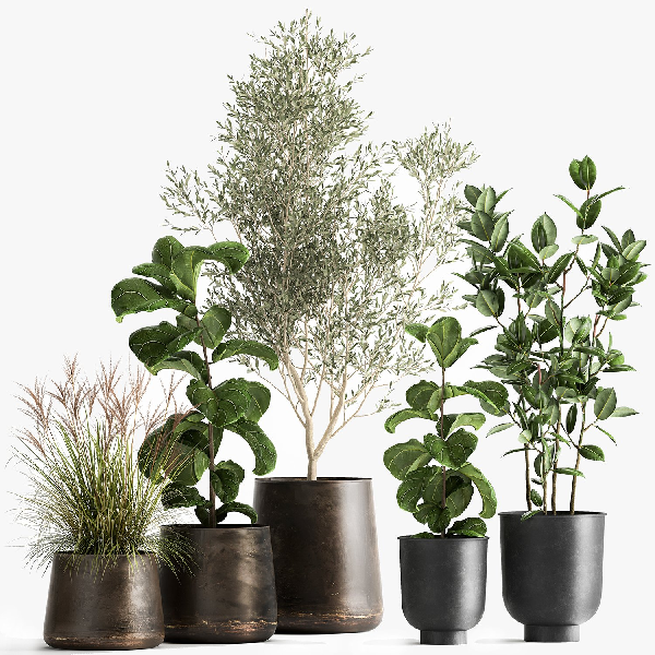 Modern Potted Plant