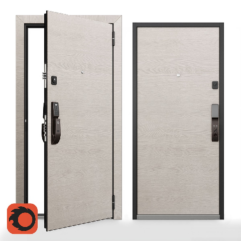 Modern Single Door